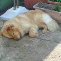 近況