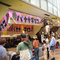 2025 第73回 湘南ひらつか七夕まつり