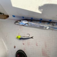 釣果報告‼︎20250118釣りぞめ