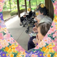 藤の花を見に…😊