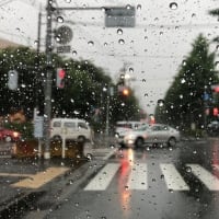 台風2号と梅雨前線で昭島も大雨