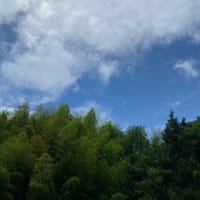 蒸し暑い
