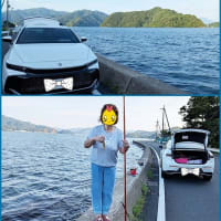 🎣 舞鶴釣り紀行