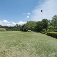 5月の神代植物公園、そして・・・