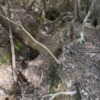 日笠地区旧坑　その２