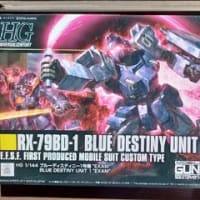 HGUC ブルーディスティニー1号機①