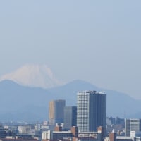 フジビュー！