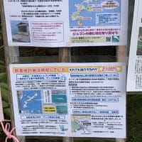 ☆金曜定例　官邸前スタンディング
