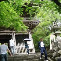 竹林寺新緑の五月令和の風 