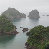西伊豆へ