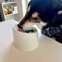 働いてやってる？働かせていただいている？