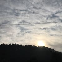 椿遊び