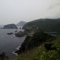 南伊豆旅行　続編　（飲んで　飲まれて　飲んで…酔いつぶれるまで飲んで）