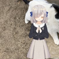 この問題はそれほど単純ではないからね