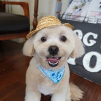 【２０２５年７月２日・まる】