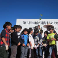11月10日湘南国際村めぐりの森植樹祭