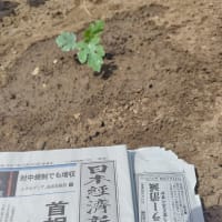 5月30日