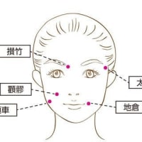 貼る美容鍼