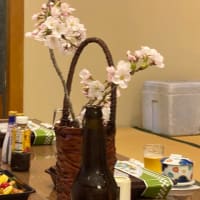 花見という名の飲み会に参加した。