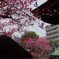 「2025年も管大臣社...」