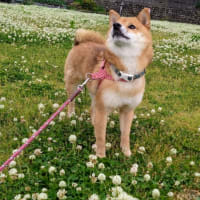 変わりゆくもの