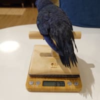 温度と湿度の管理は大切