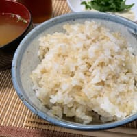 梅雨の晴れ間をひとりで過ごす