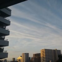 今朝の大阪天王寺区南の空に壮絶地震雲。
