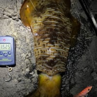 食気スイッチの入れ方？