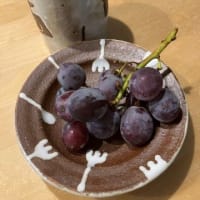 2024年のうつわたち