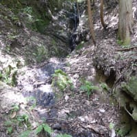 千草の滝