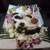 ありがとう　のっちゃん