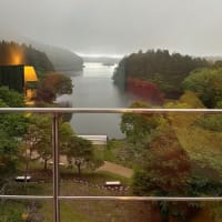 ただただうっとりただ有難く・・・富士山めぐりと信州春旅2025＜１＞