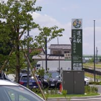 べに花の町、埼玉県桶川市　その１