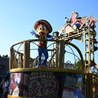 お引越し先決定‼️