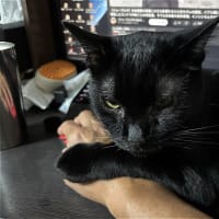 よめないのかよまないのか・・・ｗ