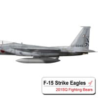 第201飛行隊 戦競塗装2010 F-15 Strike Eagle
