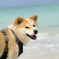 宇座海岸と倉敷ダム