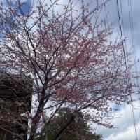 あっという間の3月〜！