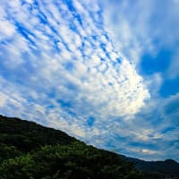 空模様、朝焼け　（その１）