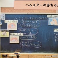 道徳　ハムスターのあかちゃん改訂版