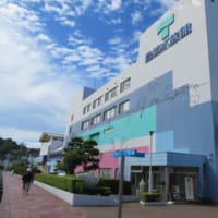 鳥羽水族館その①