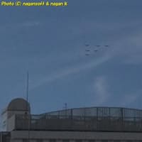 ブルーインパルス(関西万博のやつ) 7月12日泉佐野上空