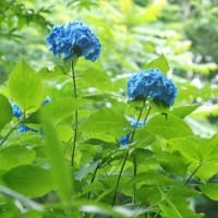 ありがとうございました。