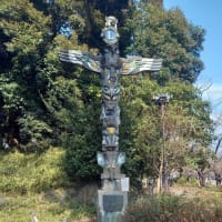 経穴（けいけつ）と経絡（けいらく）