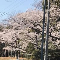 ボケをかますのは漫才 現代日本語百科 けふも お元気ですか ボケをかますのは漫才 現代日本語百科 けふも お元気ですか