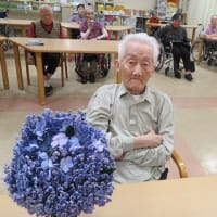 紫陽花喫茶