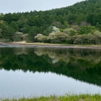 萌える若葉は謳うがごとく・・・富士山めぐりと信州春旅2025＜３＞