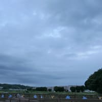 8月2日、早朝は全面曇り空 ＆ 田んぼ～♪