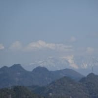 白いイワカガミが咲く鬼飛山～八坂山～大谷山 2